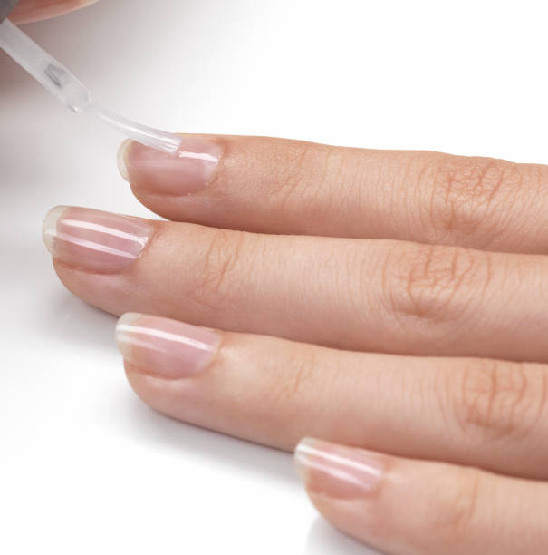 Servicios de Manicura, Pedicura, Cejas y Pestañas